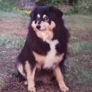 Meet your Posher, Bob